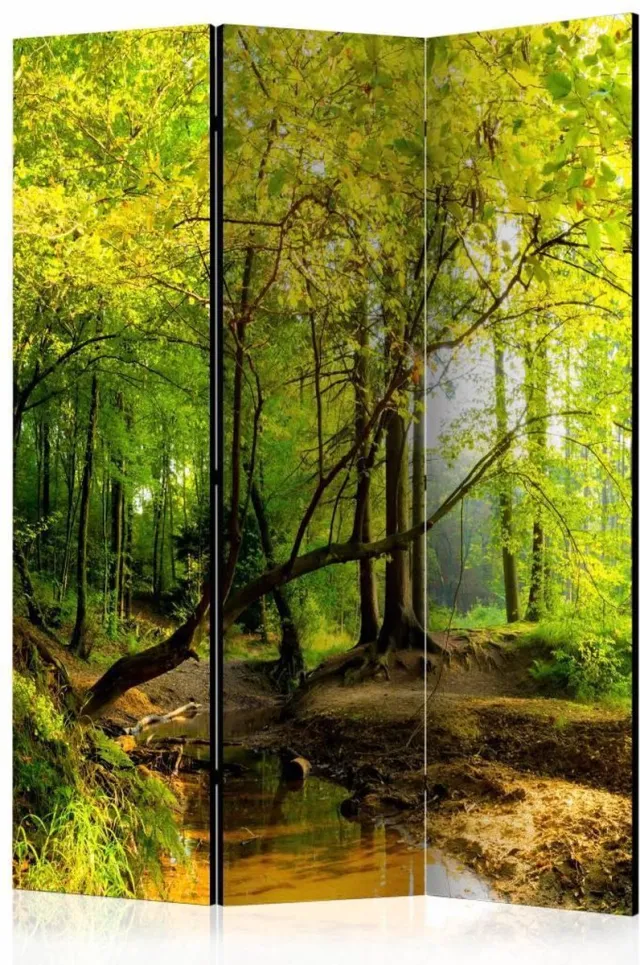karo-art Vouwscherm - Bos 135x172cm, gemonteerd geleverd, dubbelzijdig geprint (kamerscherm) multikleur