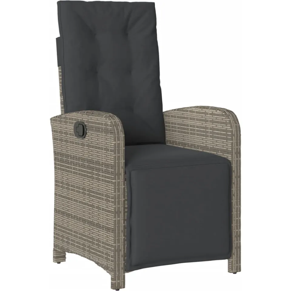 vidaXL 5-delige Tuinset met kussens poly rattan grijs, foto 4