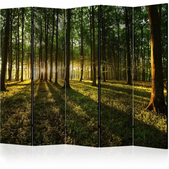 karo-art Vouwscherm - Ochtend in het bos 225x172cm , gemonteerd geleverd, dubbelzijdig geprint (kamerscherm) Multikleur