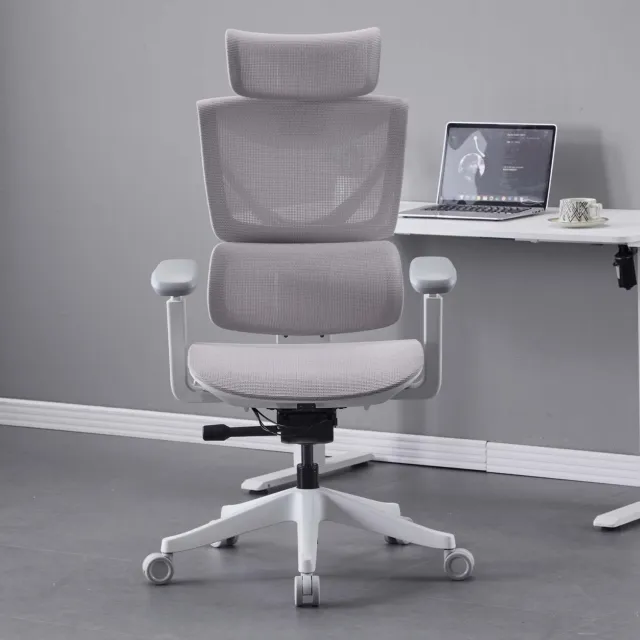 OKWISH Ergonomische Bureaustoel 73,4 Cm - Drieknopsverstelling En Kantelbare Rugleuning - Thuiskantoor - Mesh - Grijs