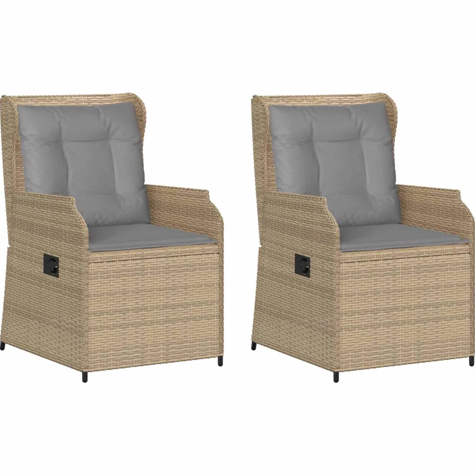 vidaXL Tuinbank 2 st Beige poly rattan, foto 3