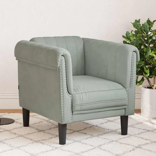 vidaXL Fauteuil fluweel lichtgrijs