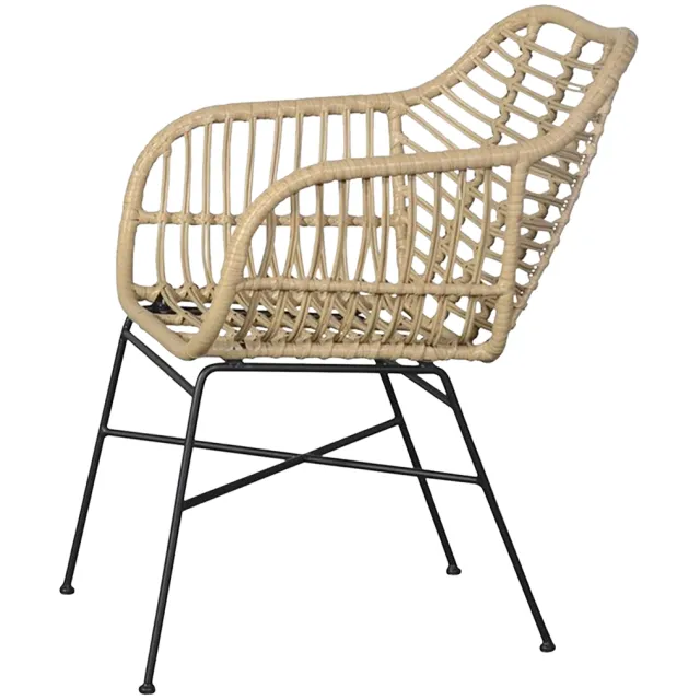 Lisomme Dax rotan tuinstoel naturel, foto 2
