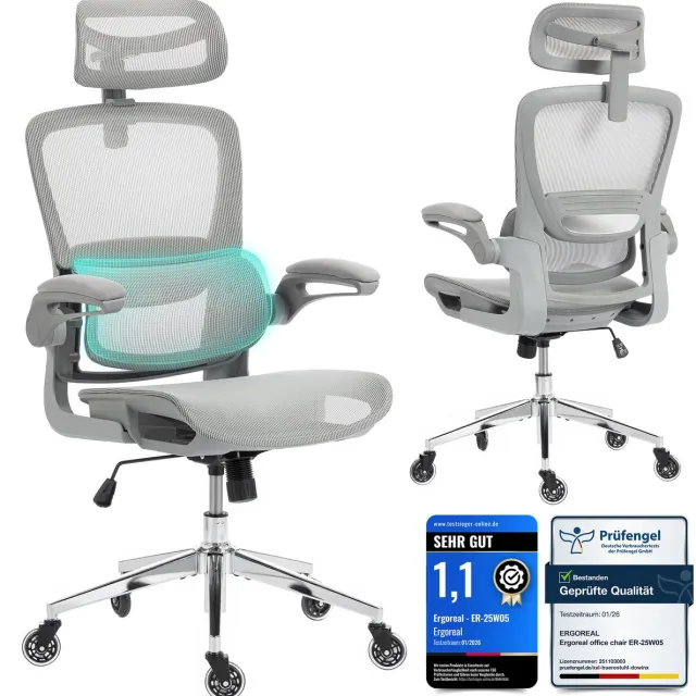 Ergoreal Ergonomische Bureaustoel - Office Chair - met 3D-hoofdsteu - Verstelbare armleuningen - Lendensteun - Grijs