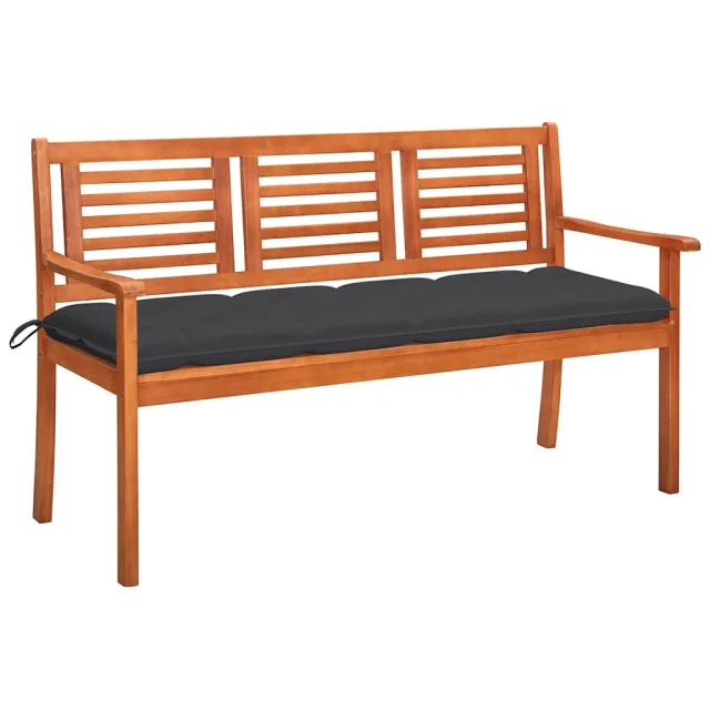 vidaXL Tuinbank 3-zits met kussen 150 cm massief eucalyptushout Anthraciet