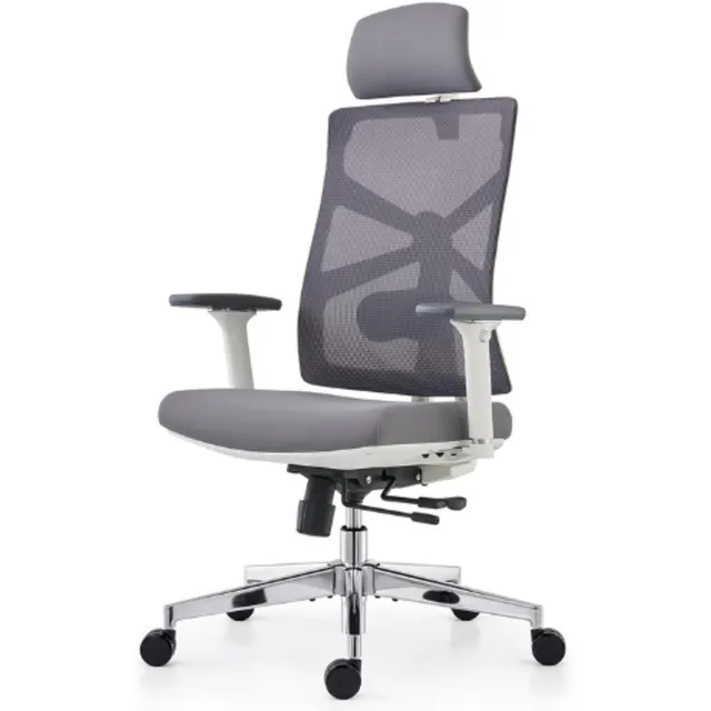 HOLLUDLE Ergonomische bureaustoel met adaptieve rugleuning, hoge rugleuning computerbureaustoel met 4D-armleuningen, verstelbare zitdiepte, lendensteun en 2D-hoofdsteun, draaibare taakstoel, wit GRIJS