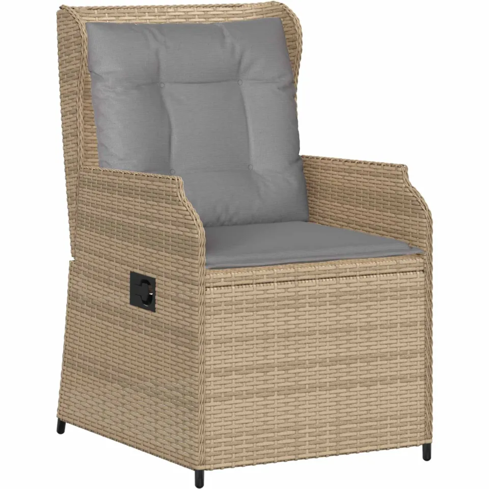 vidaXL Tuinbank 2 st Beige poly rattan, foto 4