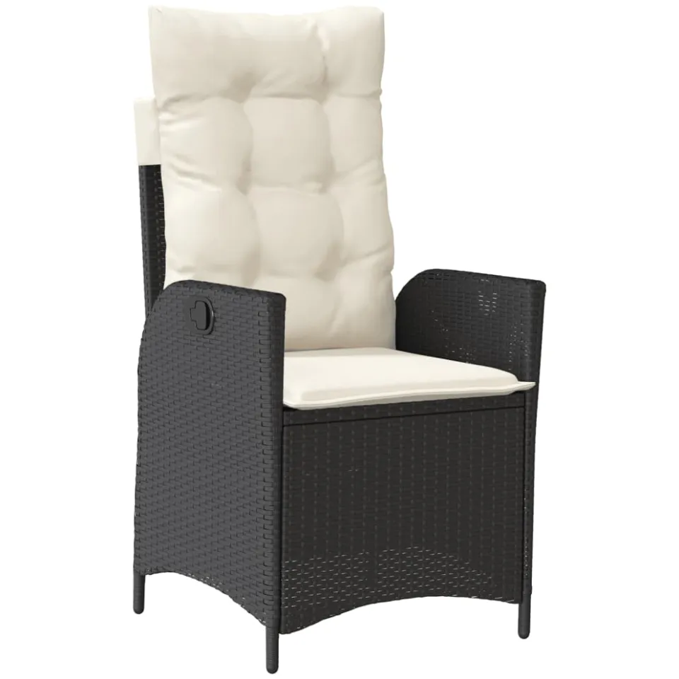 vidaXL 9-delige Tuinset poly rattan zwart, foto 3