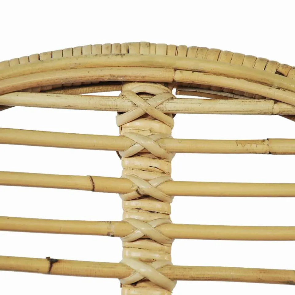 vidaXL Eetkamerstoelen 2 st natuurlijk rattan beige, foto 4