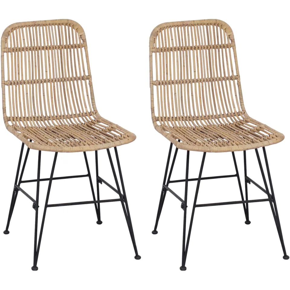 vidaXL Eetkamerstoel 2 st Rattan en staal Naturel 41 x 55 x 85 cm Bruin