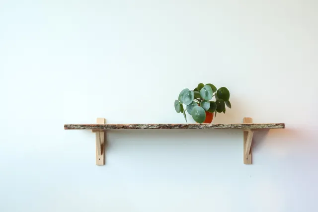 Wovar Houten Plankdrager 25 x 30 cm Beuken | Per Stuk Houtkleur