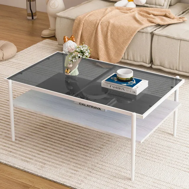 CHICFURN Salontafel - Opbergruimte - Metalen poten - Grijs en wit