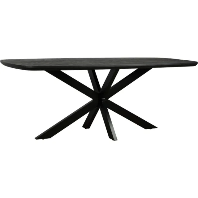Meubelplaats Eettafel Colorado Deens ovaal mangohout 180x100 cm - zwart