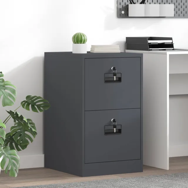 vidaXL Bestandenkast Antraciet 44 x 50 x 74,5 cm Koudgewalst Staal