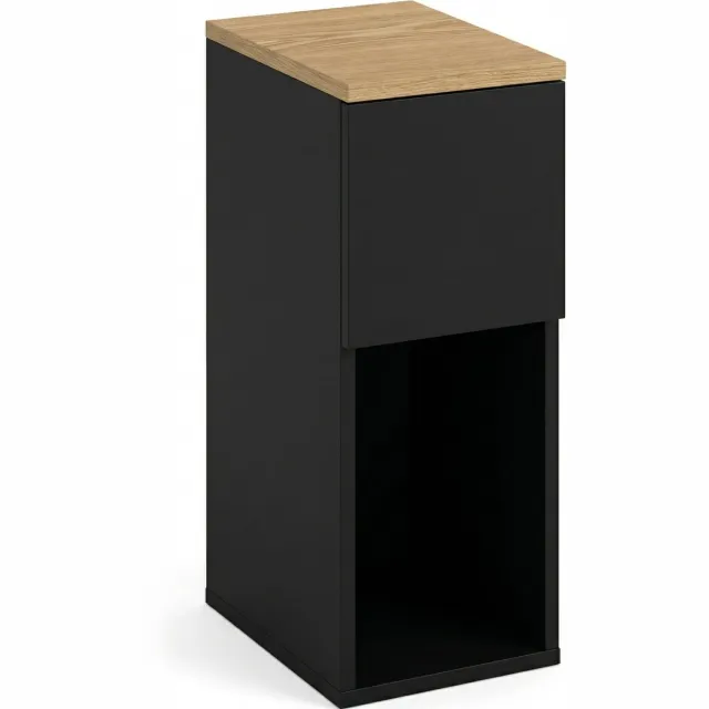 SCENA LIVING Smalle bijzettafel TENY, 20 x 30 x 55 cm, zwart