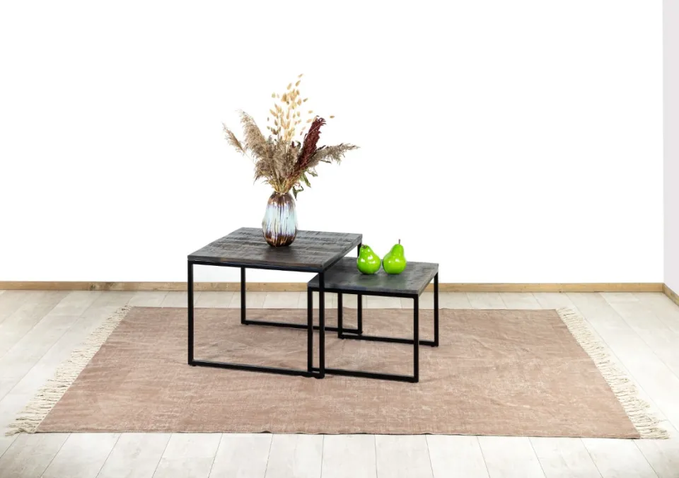 Salontafel set van 2 Sanne mangohout zwart