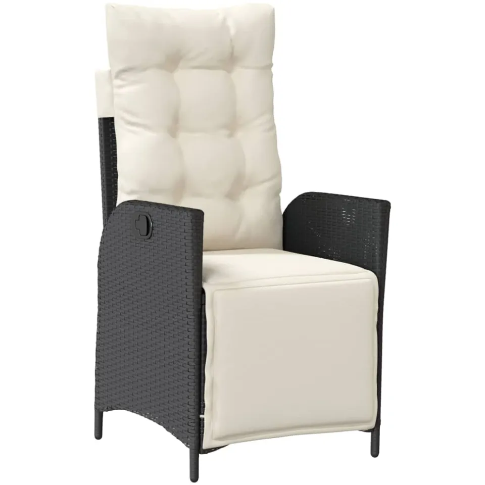 vidaXL 9-delige Tuinset poly rattan zwart, foto 3
