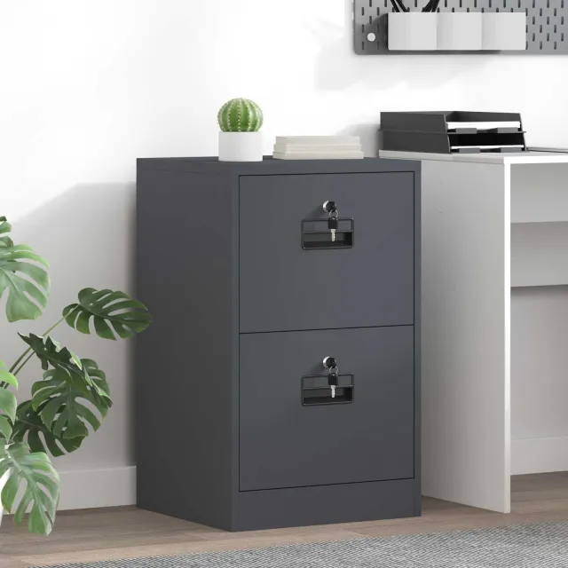 vidaXL Bestandenkast Antraciet 45,5 x 42 x 74,5 cm Koudgewalst Staal Anthraciet