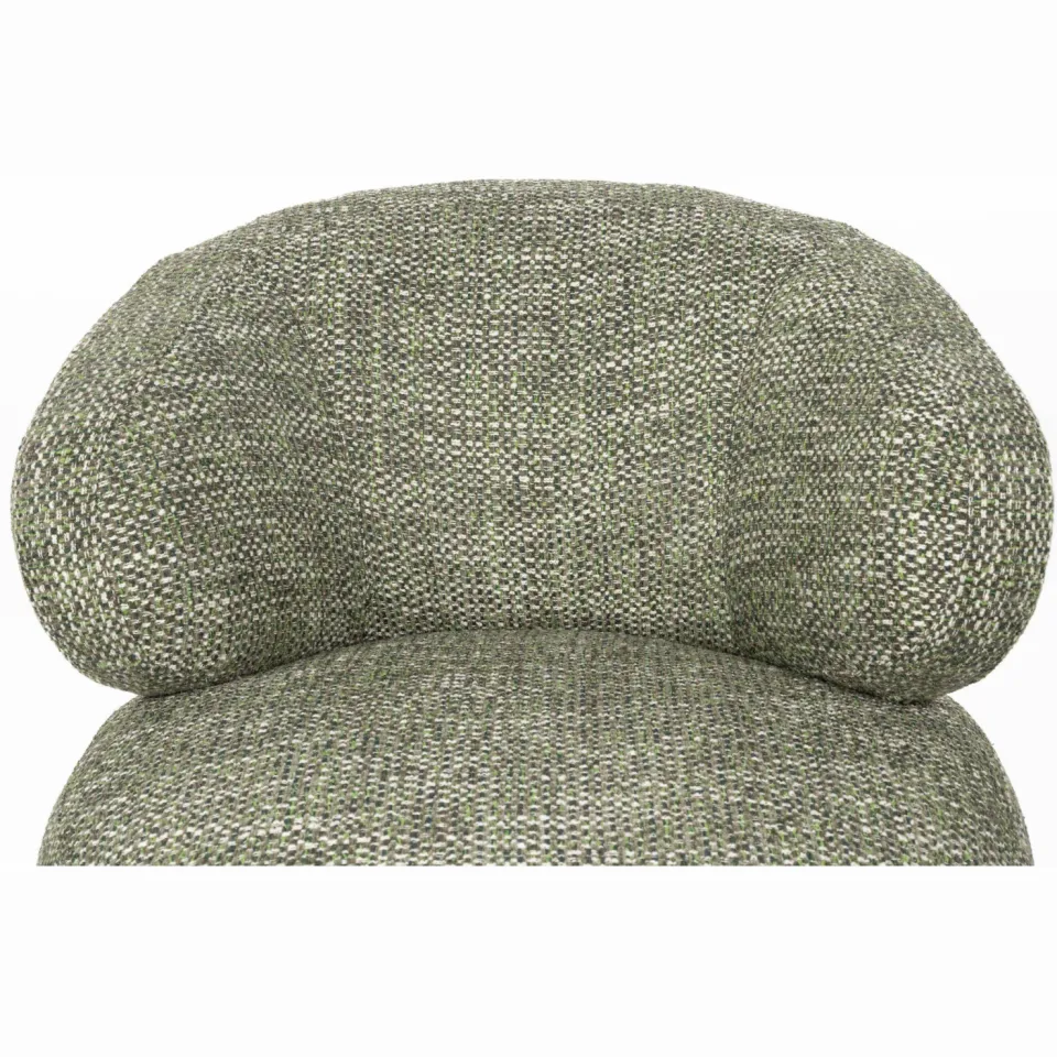 Dutchbone Walter Fauteuil Groen, foto 7