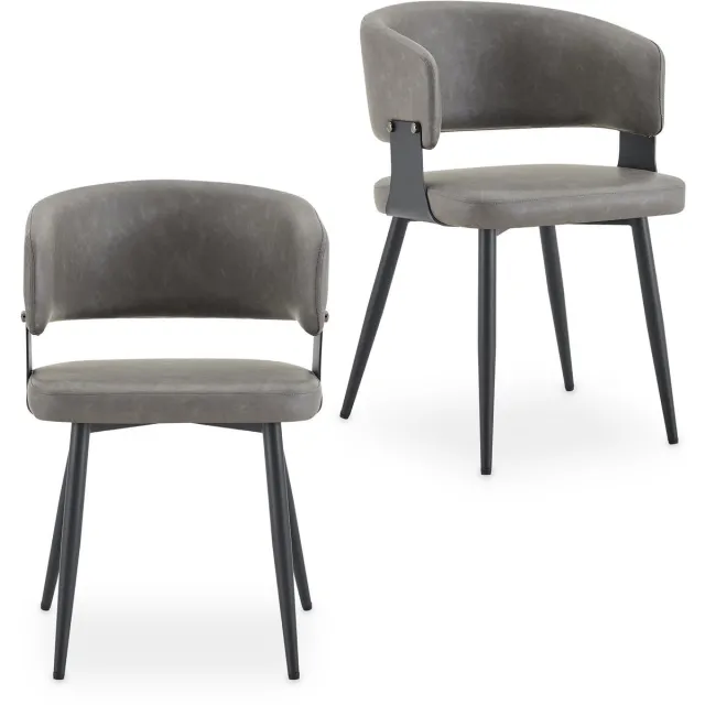 IDIMEX Eetkamerstoelen PAVIA in een set van 2 – grijs