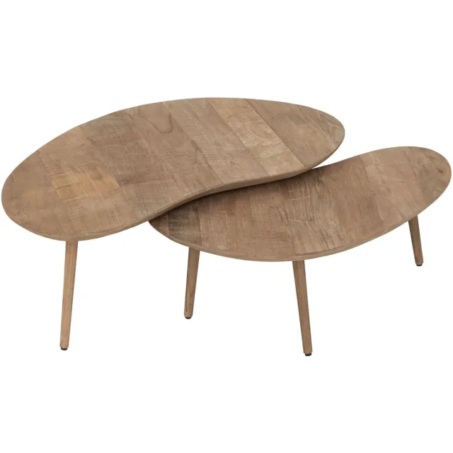 DTP Home Coffee table Apollo, set of 2,30x75x55 cm / 35x90x70 cm, recycled teakwood Naturel