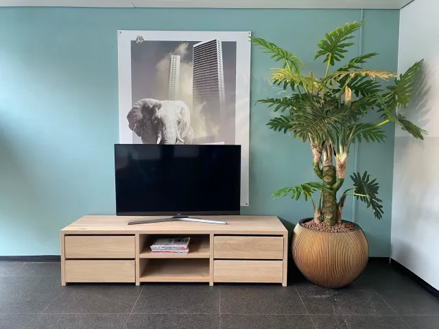 NordXL Eikenhouten tv-meubel Linde