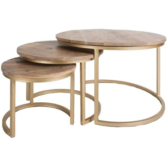 Home67 Salontafel Bart Goud - Set van 3 Bruin