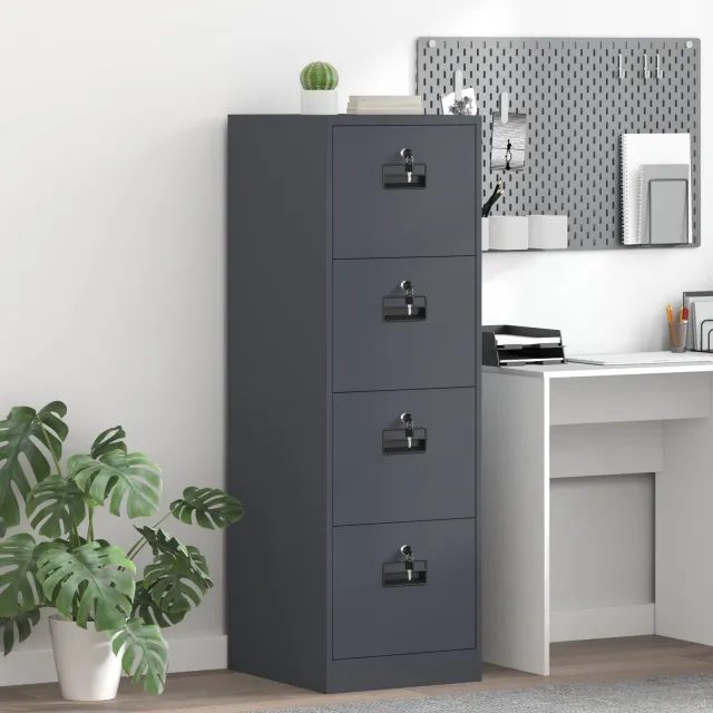 vidaXL Bestandenkast Antraciet 44 x 50 x 139 cm Koudgewalst Staal Anthraciet