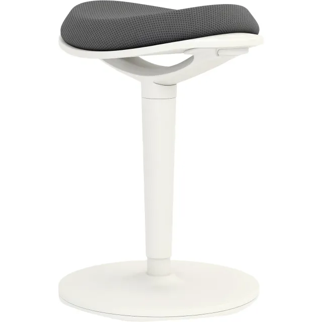 Lunpog Ergonomische Wiebelkruk – 42,5x35,5x56,5-71,5cm – Tot 120 kg – Zadelkruk –In hoogte verstelbaar – ∅33cm – Grijs