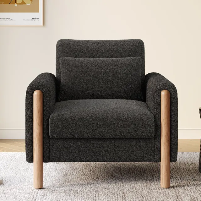 HAUSS SPOLE Fauteuil - Loungestoel Met Armleuningen - Zacht Teddy Design Met Dik Kussen - Voor Woonkamer, Kantoor En Slaapkamer - Donkergrijs
