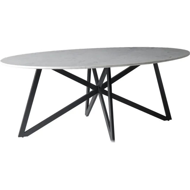 Livingfurn Eetkamertafel DT- Marble Oval Web White 200cm - Marmer / Gecoat Staal Marmer / Zwart