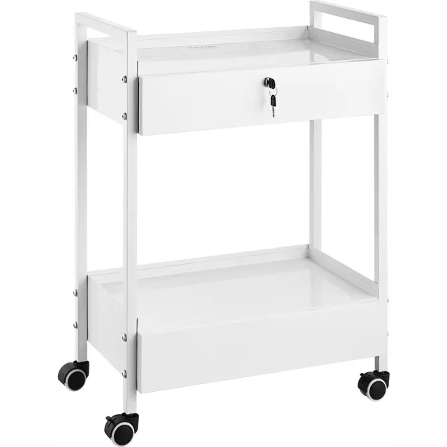 Vevor Laboratoriumwagen, 2-Laags Universele Wagen Van Roestvrij Staal, Medicijnwagen Met 2 Laden, Rollende Laboratoriumwagen, Witte Serveerwagen Met Zwenkwielen voor Laboratorium, Ziekenhuis, Tandartspraktijk, Salon, Enz.