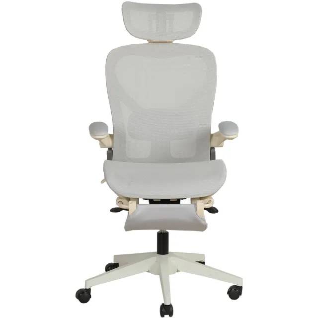 HAUSS SPOLE Bureaustoel - Ergonomisch Opklapbaar Model - Met 3D Hoofdsteun, Lendensteun en Voetensteun - Voor Werk, Studie en Gamen - Mesh Grijs