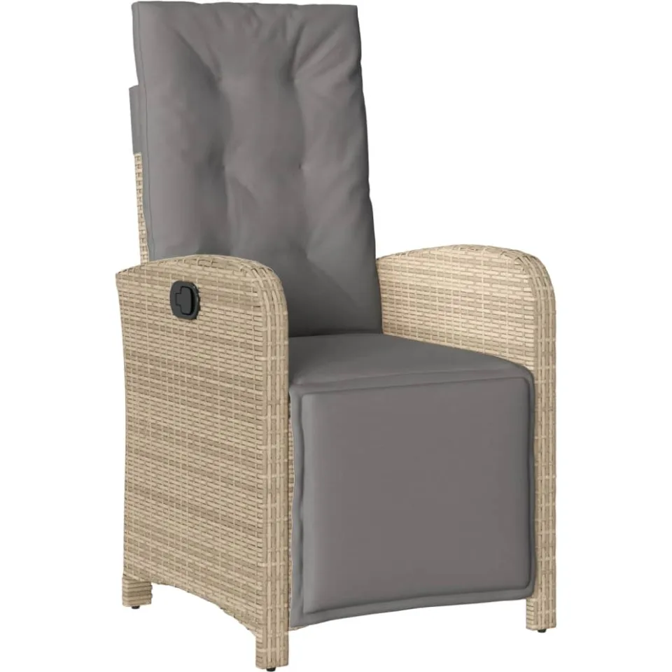 vidaXL 9-delige Tuinset met kussens poly rattan beige