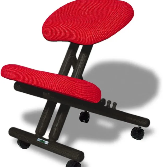 RFWR Ergonomische stoel zwart met rode zitting - Comfortabele zithouding voor elke ruimte