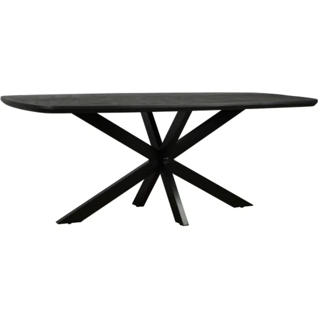 Meubelplaats Eettafel Colorado ovaal mangohout 300x110 cm - verjongde rand - Zwart