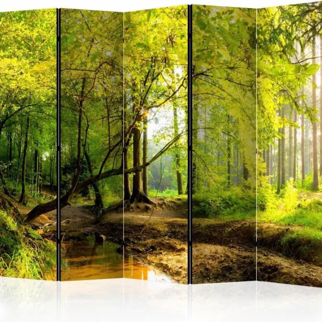 karo-art Vouwscherm - Bos 225x172cm, gemonteerd geleverd, dubbelzijdig geprint (kamerscherm) Multikleur