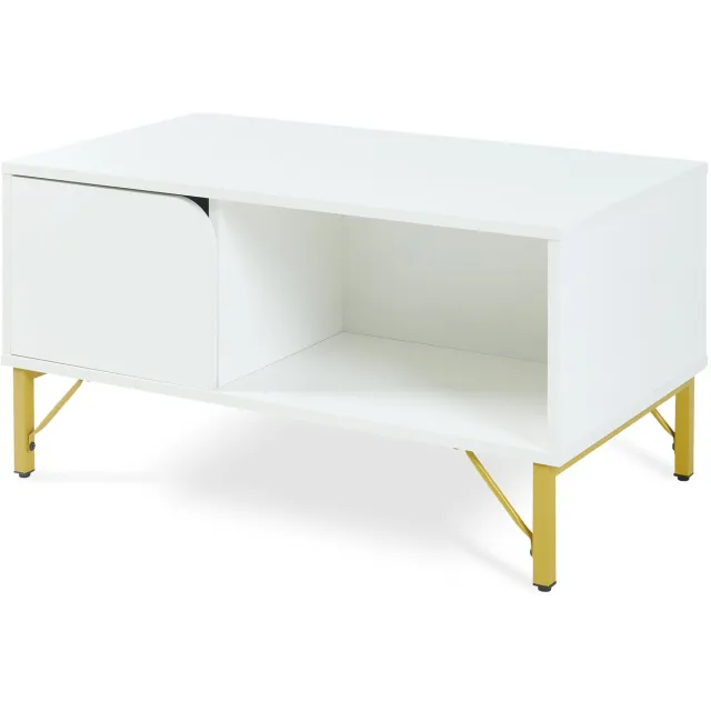 en.casa Salontafel Reyri 80x45x42 cm wit en goudkleurig [en.casa]