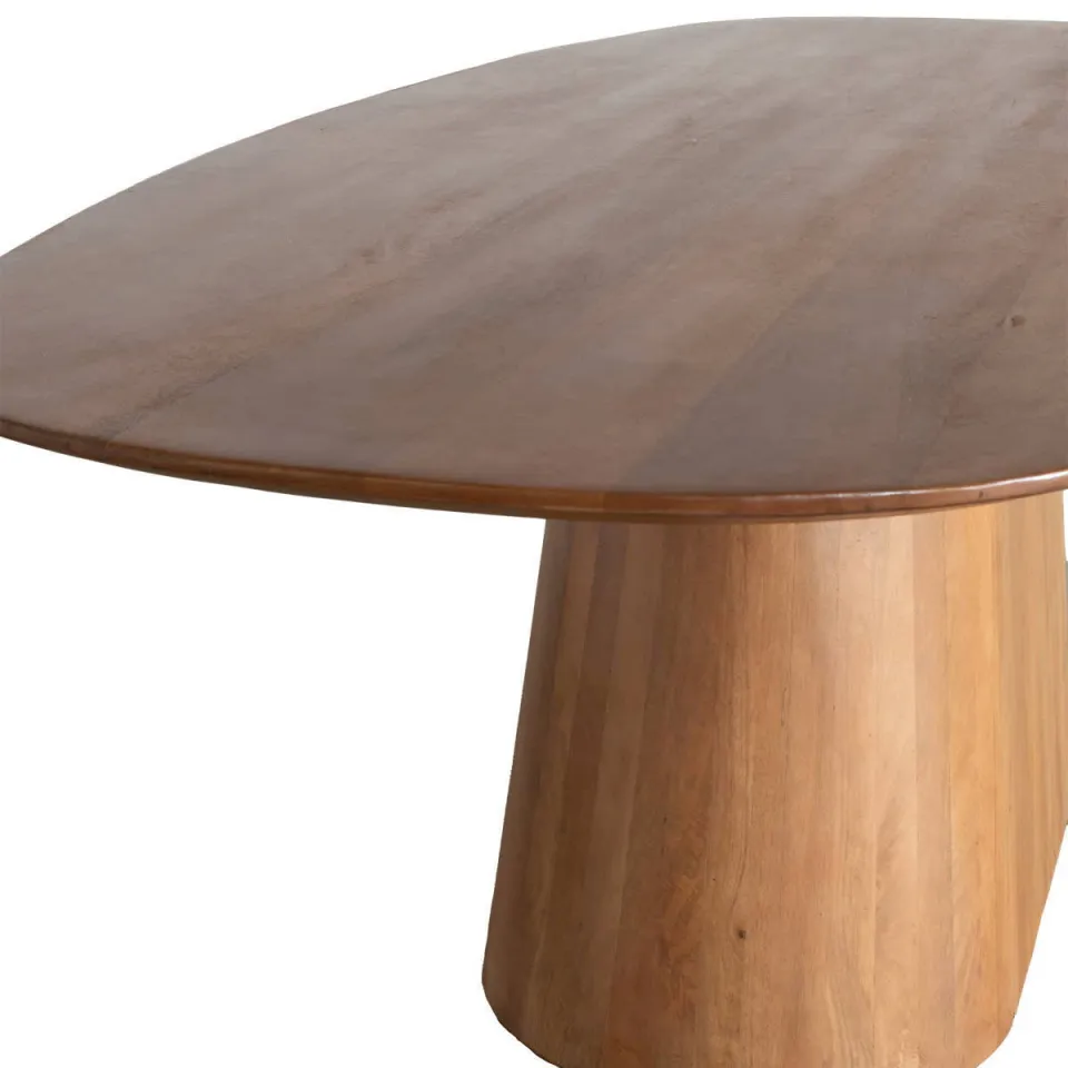 Giga Meubel Eettafel Stijn - Deens Ovaal - Mangohout - 180cm, foto 4