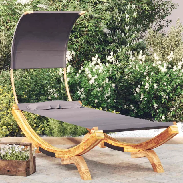 vidaXL Loungebed met luifel 100x200x126 cm gebogen hout antracietkleur, foto 2