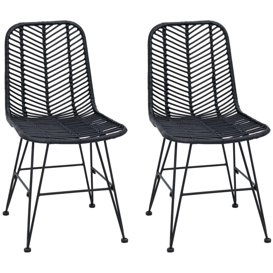 vidaXL Eetkamerstoel 2 st Riet en IJzer Zwart 44 x 54,5 x 85 cm