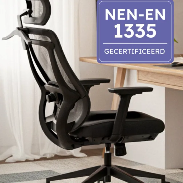 Roveo Ergonomische Bureaustoel - Office Gaming Chair - Volwassenen Game Stoel - Gamestoel - Zwart Zwart - hoofdsteun
