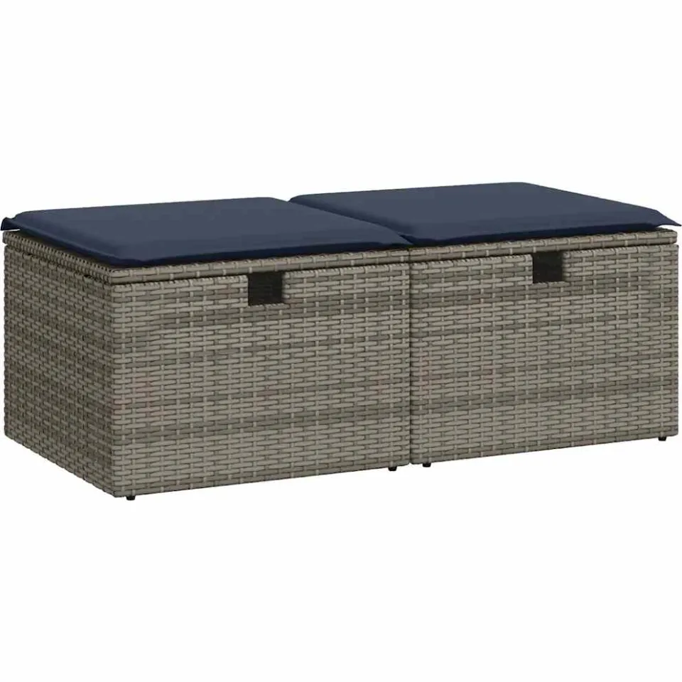 vidaXL 2-delige Loungeset met kussens poly rattan acacia grijs