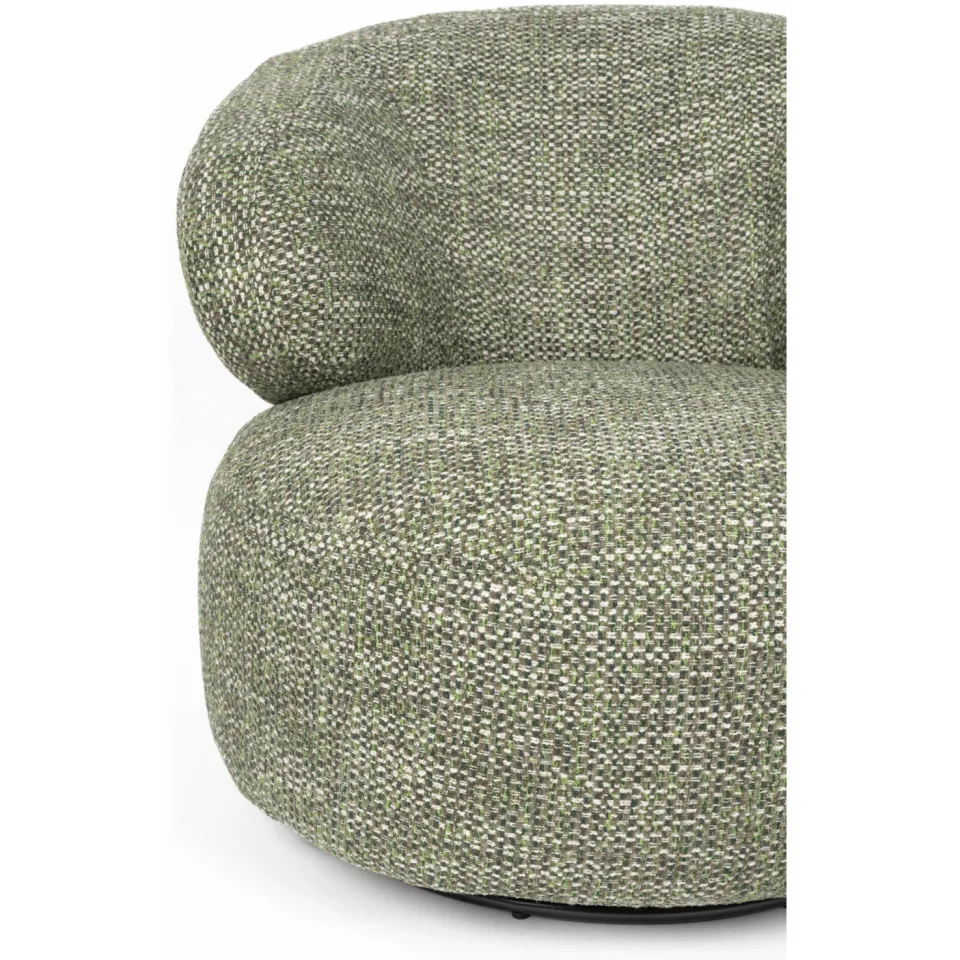 Dutchbone Walter Fauteuil Groen, foto 5
