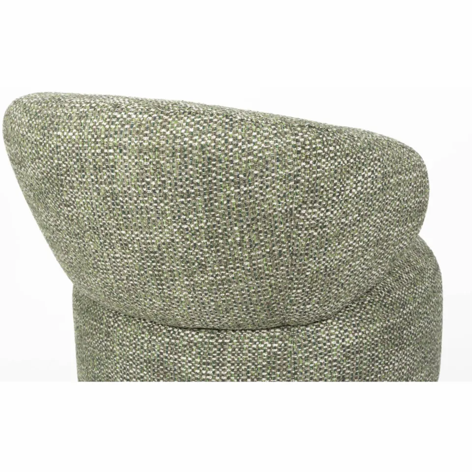Dutchbone Walter Fauteuil Groen, foto 6