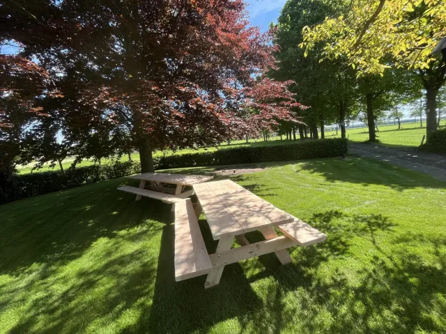 Picknickbanken.nl Douglas Picknicktafel 3,0m - De Ultieme Tuinervaring Natuurlijk hout kleur