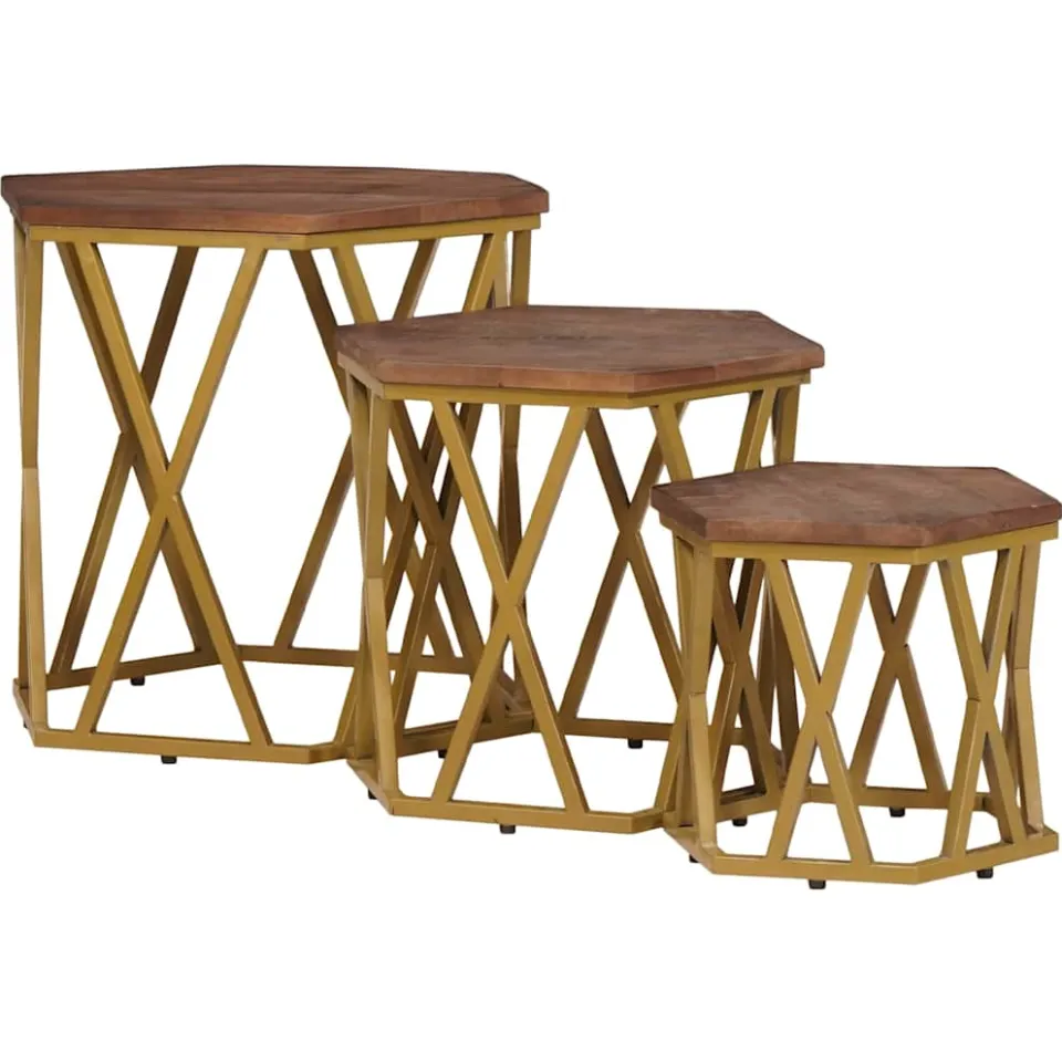 vidaXL Salontafels Bruin 55 x 55 x 50 cm Massief Mango Hout