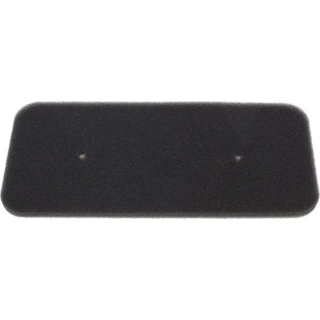 Candy /Hoover Sponge Filter voor wasmachine/wasdroger 40006731 Zwart