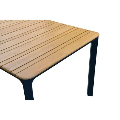 Central Park - Praxis Eigen Merk Central Park Lorenzo Eettafel - Teak - Aluminuim - 155x90x75 Cm zwart, foto 4