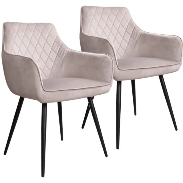 DS4U Ravi 3.0 eetkamerstoel - Set van 2 - Grijs - Velvet - Met armleuning